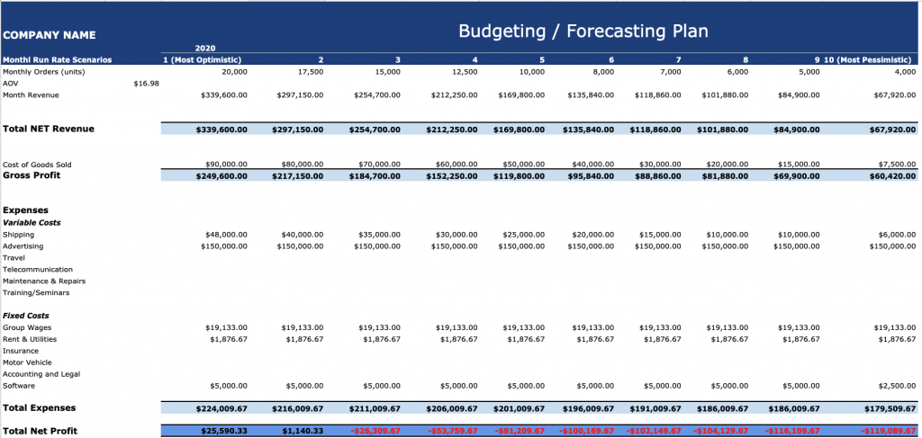 Crisis Management Budgeting & Forecasting Example